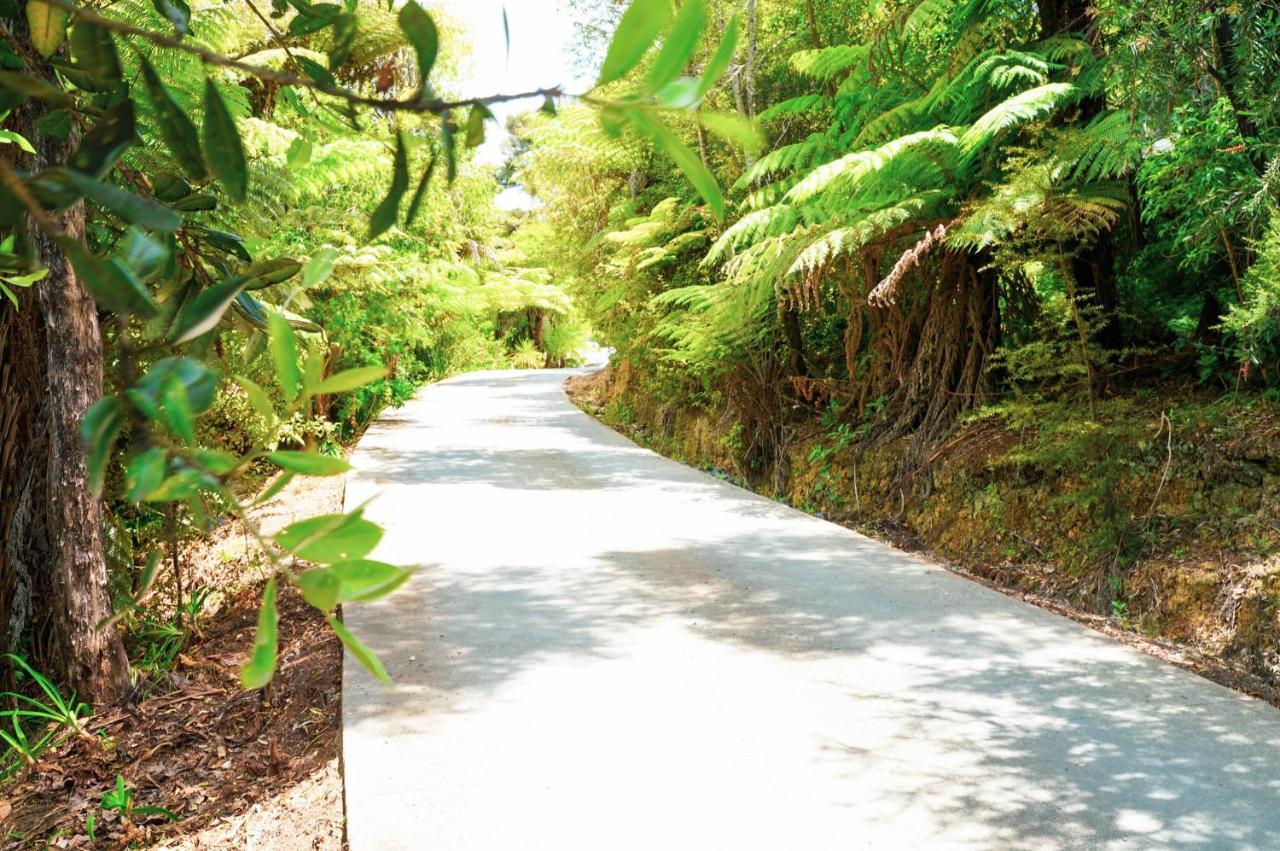 Tui & Nikau * Mangawhai